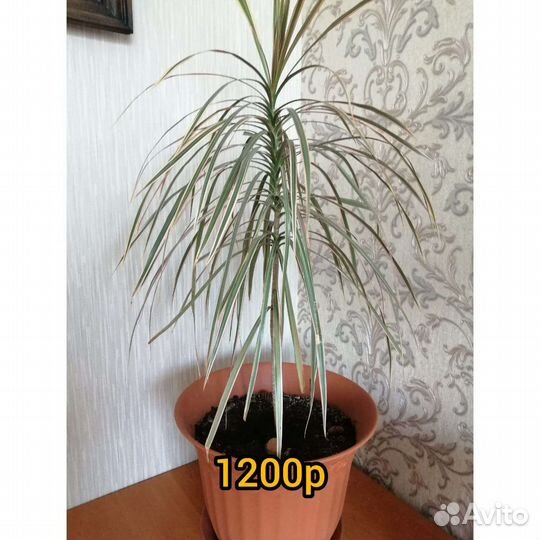 Стройматериалы материалы бу