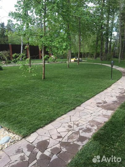 Рулонный газон от производителя эконом