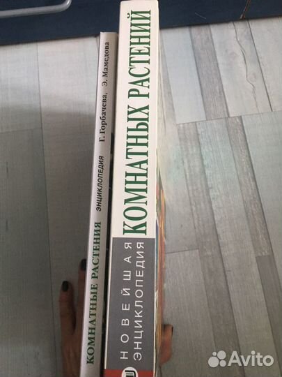 Комнатные растения