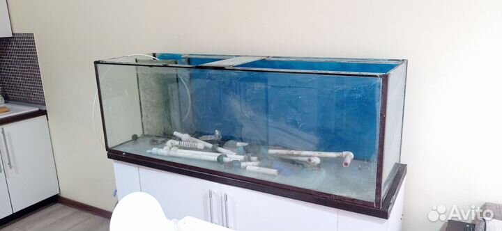 Аквариумистика