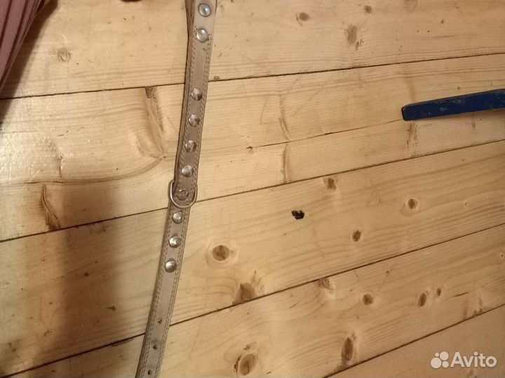 Амуниция для собак