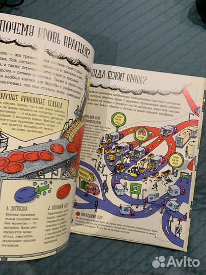 Книга Большое путешествие по телу человека