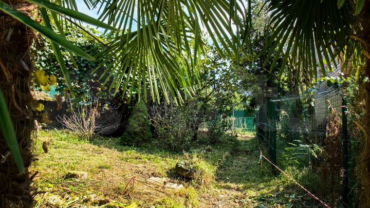 Участок 7,5 сот. (СНТ, ДНП)