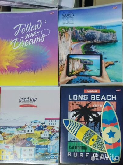 Рабочие тетради. Окружающий, литература, пропись