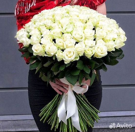 Высокие розы