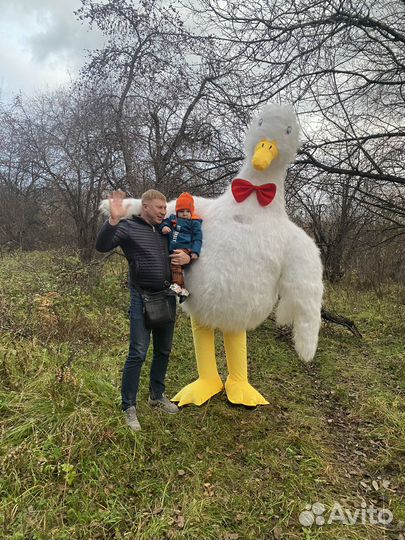 Гусь обнямусь поздравления