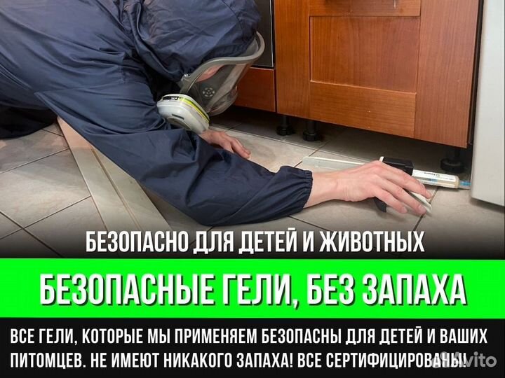 Уничтожение тараканов, уничтожение клопов