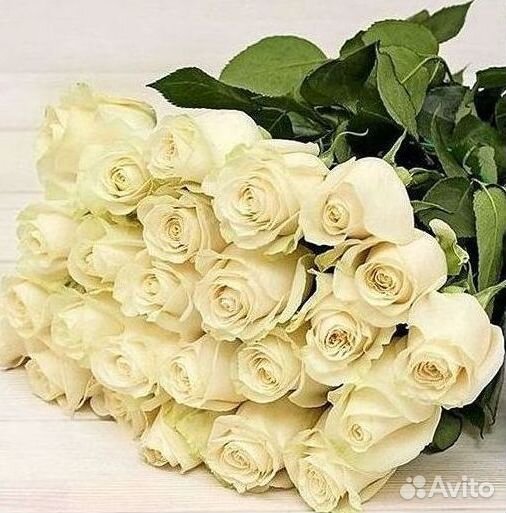 Букет роз 101 роза 51 роза