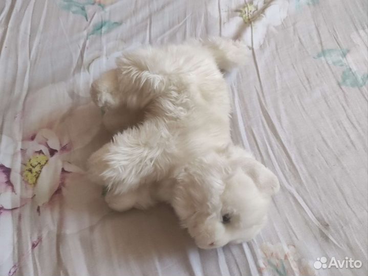 Продаю мягкие игрушки, всё В описании)