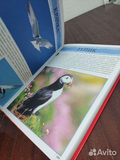 Животные. Моя Первая Энциклопедия