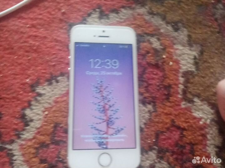iPhone 5S, 16 ГБ