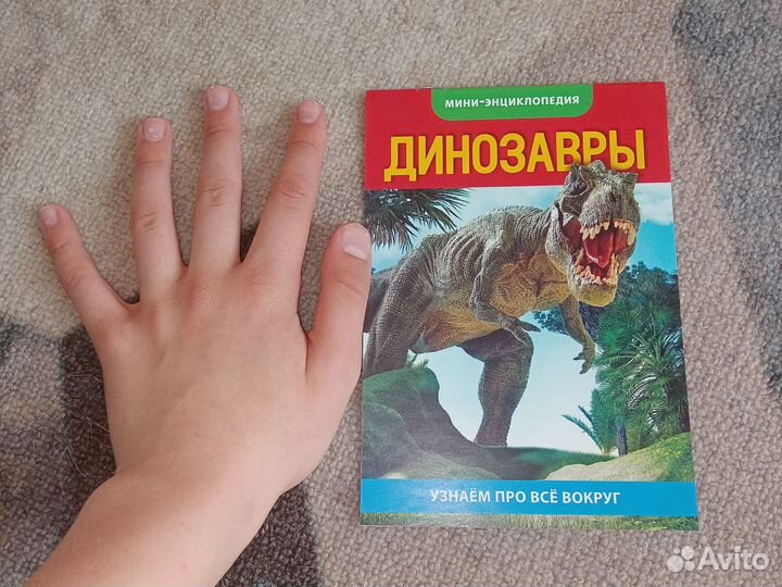 Мини-энциклопедии