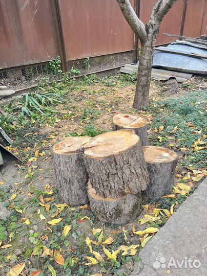 Дрова фруктовые