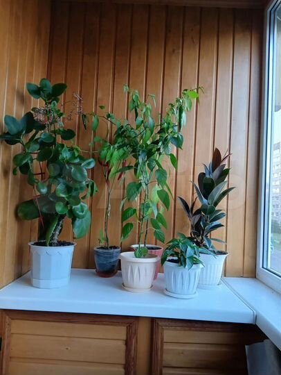 1-к. квартира, 37 м², 3/10 эт.