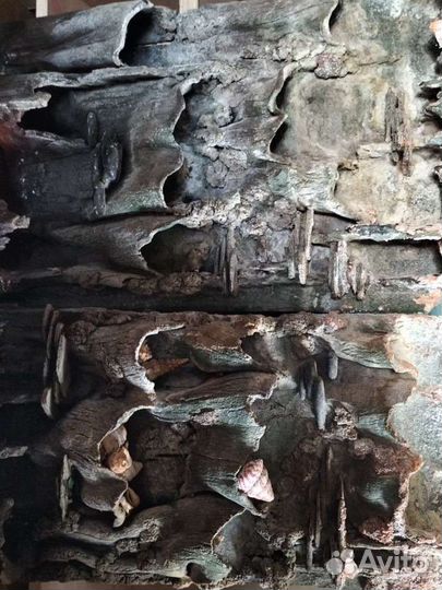 Кораллы для аквариума