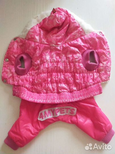 Одежда для собак мелких пород