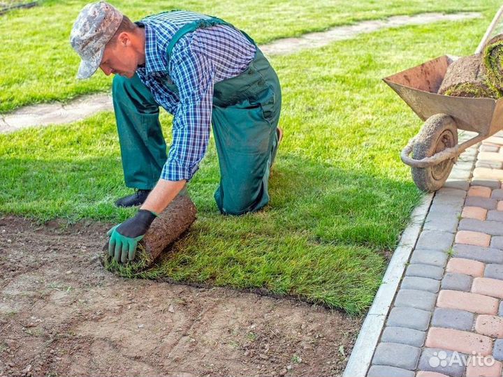 Укладка рулонного газона