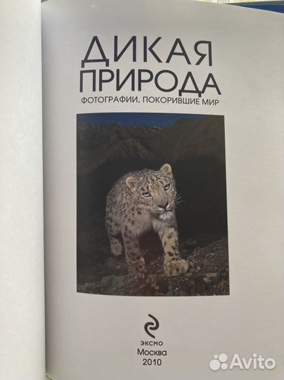 Книга с фотографиями