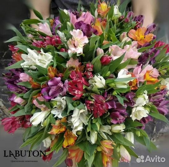 Букет альстромерии. Доставка в городе Иркутск