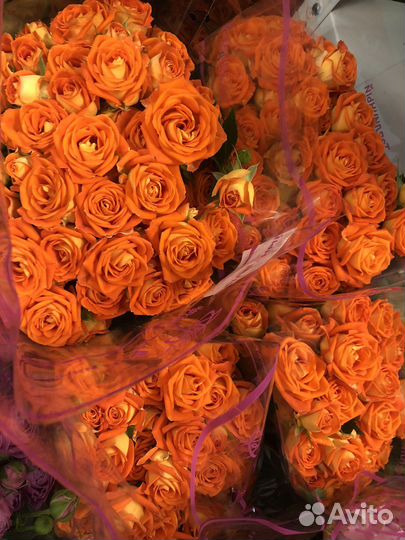 Цветы оптом розы