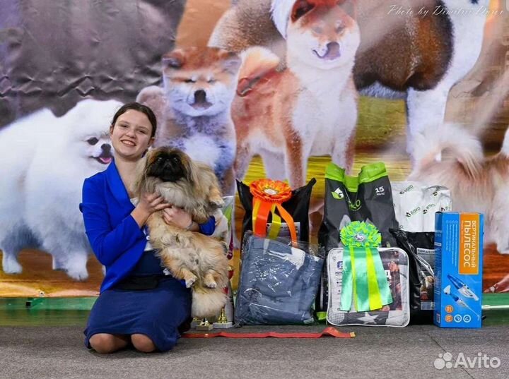 Услуги хендлера