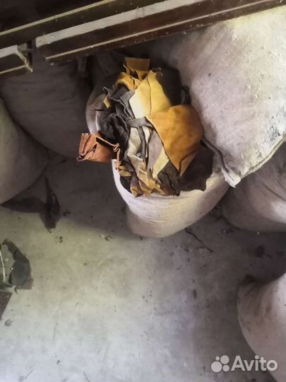 Кожа ласкуты