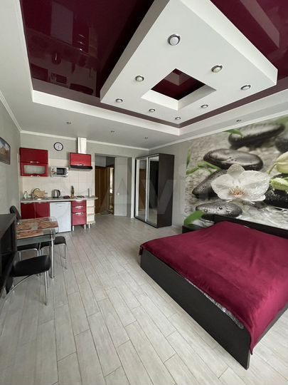 Квартира-студия, 24 м², 1/2 эт.