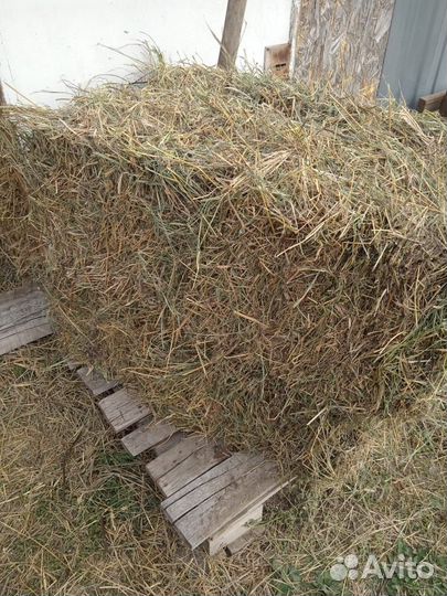 Сено в тюках.Солома