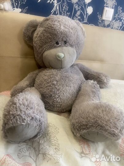 Мишка Тедди