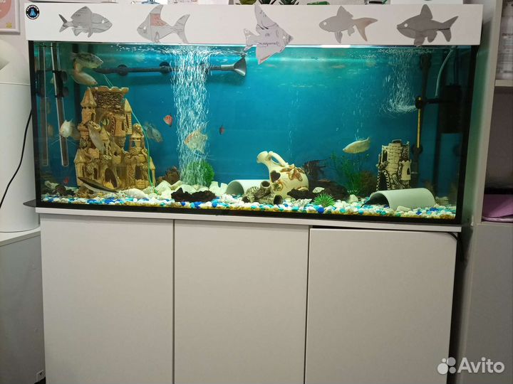 Аквариум с тумбой 300 литров