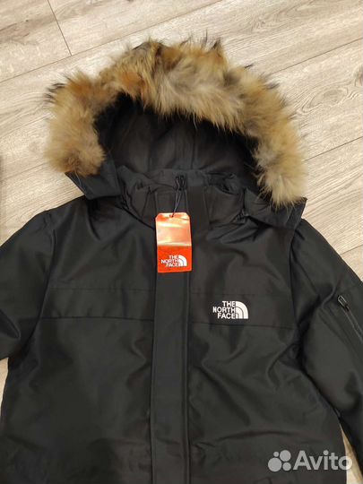 Пуховик мужской TNF