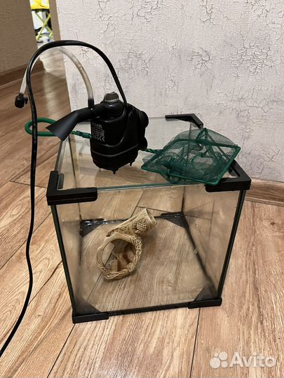 Аквариум, фильтр, садок, украшение для аквариума