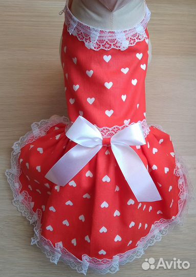 Одежда для собак