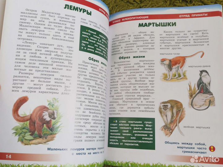 Детская энциклопедия Животные
