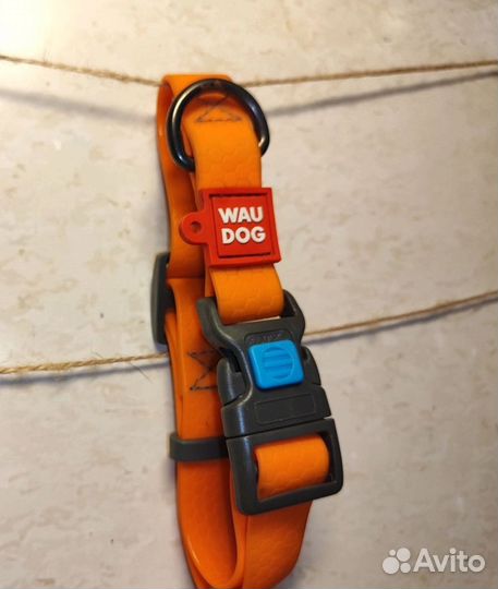 Амуниция для собак