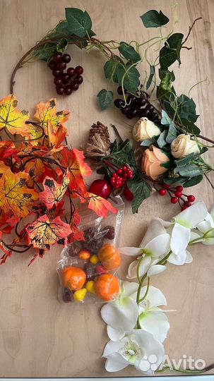 Декоративные цветы