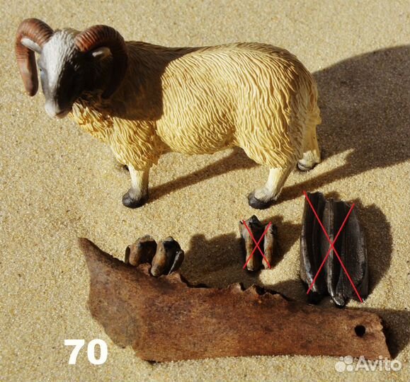 Кости плейстоценовых животных, поштучные и весовые