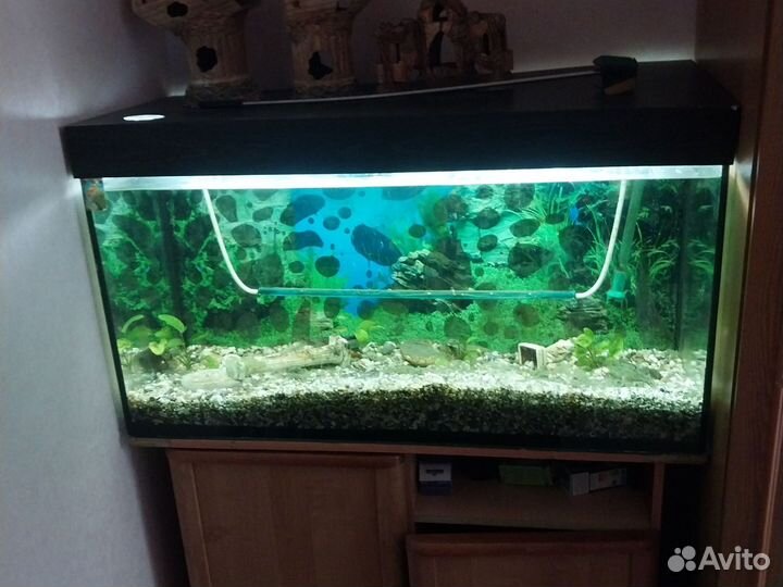 Аквариум с тумбой 220л
