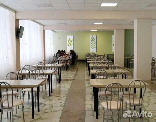 Инвестиции в сеть столовых до 60% год