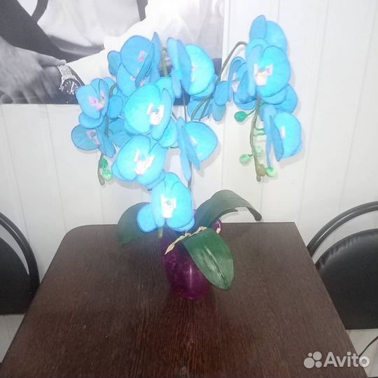 Орхидея в кашпо