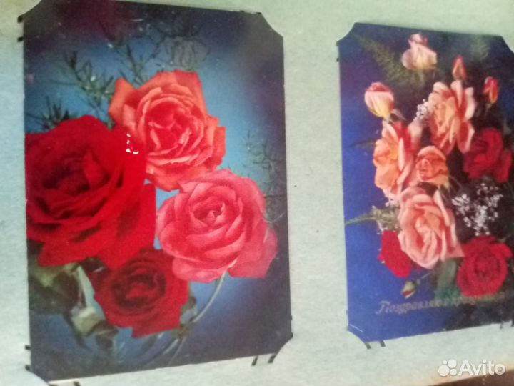 Открытки СССР с 1956г цветы коллекция