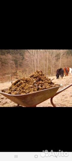 Навоз перегной в мешках конский и коровий
