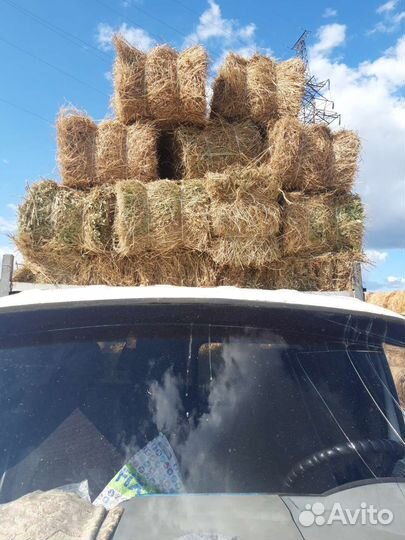 Сено луговое в тюках