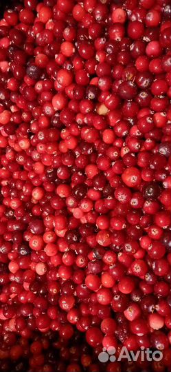 Ягоды для Дарины