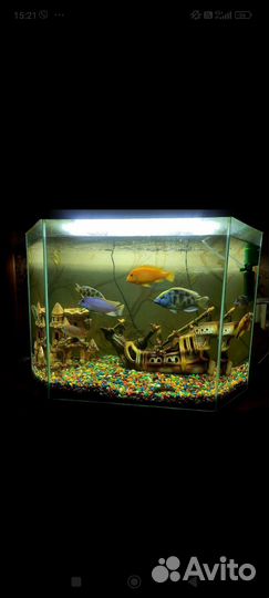 Аквариум