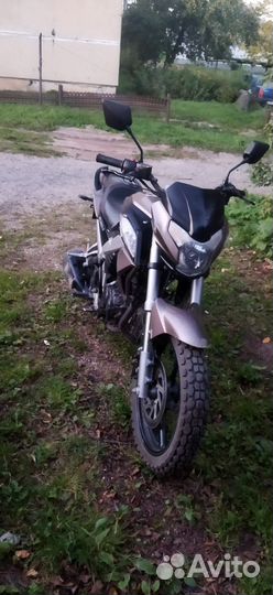 Racer rc250ck-n