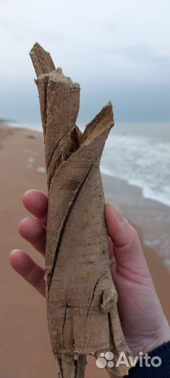 Коряги с моря дрифтвуд