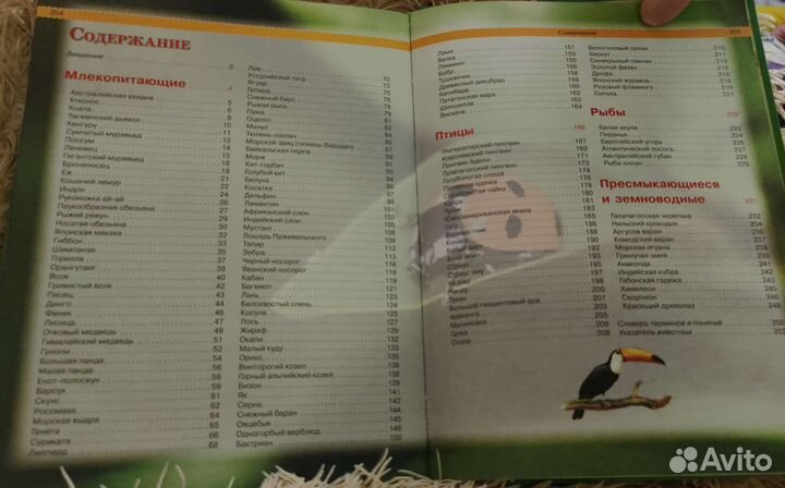 Энциклопедия