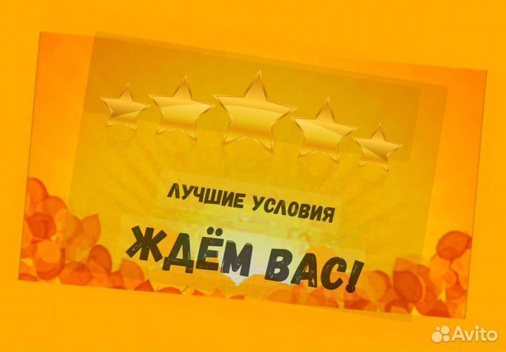 Наборщик заказов Без опыта Еженедельные выплаты