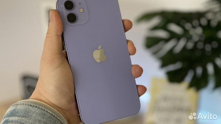 Айфон 12 фиолетовый фото iPhone 12, 64 ГБ купить в Нижнем Новгороде Электроника Авито